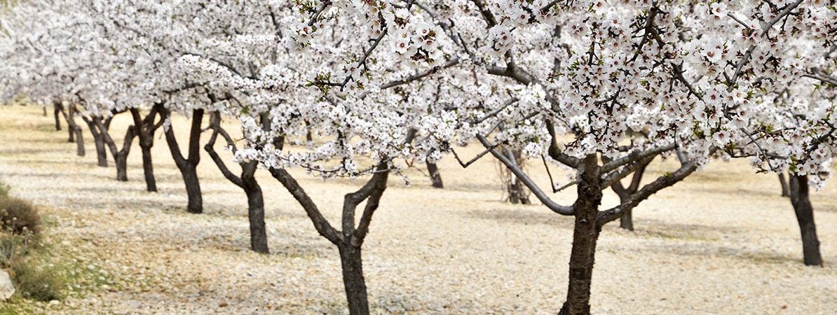 Centro de investigación Ageingnomics Una visión constructiva de las oportunidades económicas del envejecimiento demográfico.