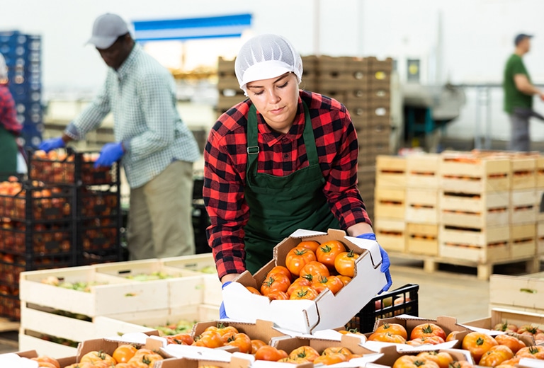 Eventos 2025 Eventos de FSE+ en 2025