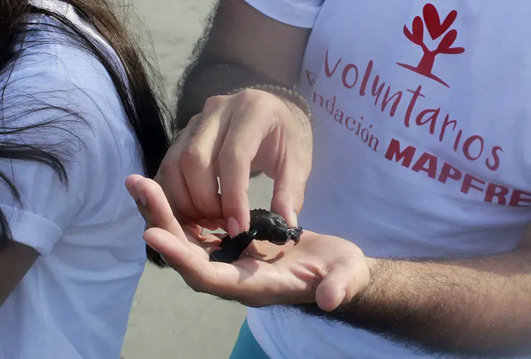 Te presentamos el decálogo del buen voluntario Ser realista