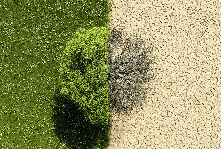Webinar. Cambio climático, riesgos extraordinarios y políticas públicas