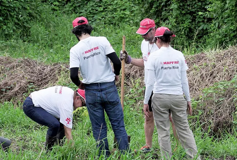 Te presentamos el decálogo del buen voluntario Trabajo en equipo